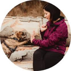 Rezension Melanie zum Berufseinsteigercoaching für Hundeernährungsberater